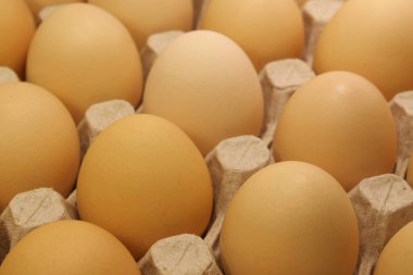 Taze sarı tavuk yumurtası. Karton tepside temiz tavuk yumurtası, yakın plan fotoğraf.