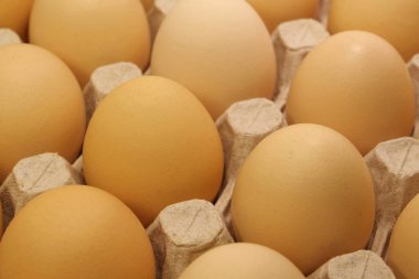 Fresh yellow chicken eggs. Clean chicken eggs in tray, close-up