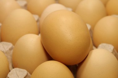 Chicken eggs in tray. Fresh yellow chicken eggs. Clean yellow chicken eggs in tray, close-up