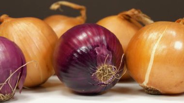 Ampul soğanı ve kırmızı soğan, ayrıca mor soğan olarak da bilinir. Soğan - sağlık için yararlı özelliklere sahip çok sağlıklı bir ürün