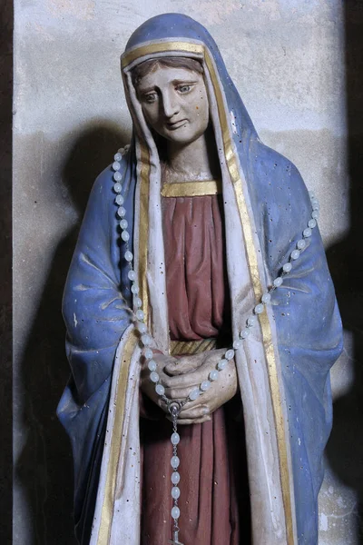 Maagd Maria Onder Het Kruis Standbeeld Parochiekerk Van Sint Catharina — Stockfoto