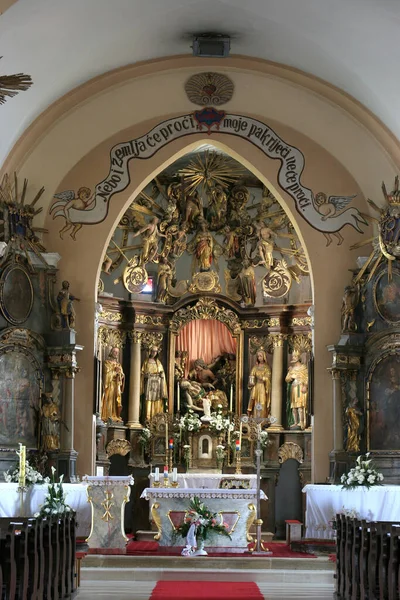 Altar Principal Igreja Santa Maria Madalena Cazma Croácia — Fotografia de Stock