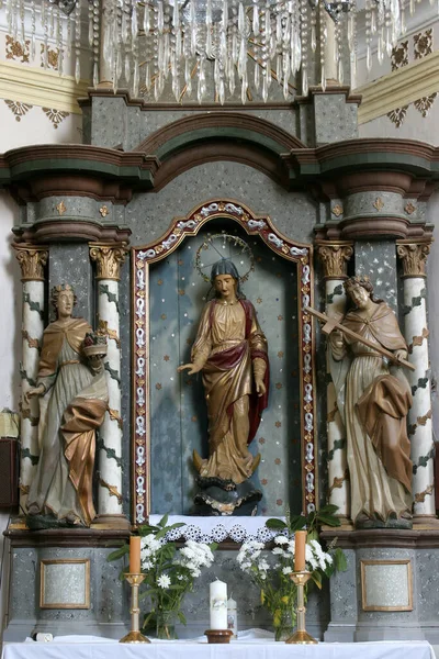 克罗地亚杜尔迪奇圣乔治教区教堂圣母玛利亚的祭坛 — 图库照片