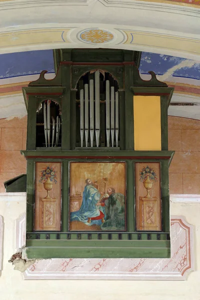 Varhany Kapli Panny Marie Sněžné Risvici Chorvatsko — Stock fotografie