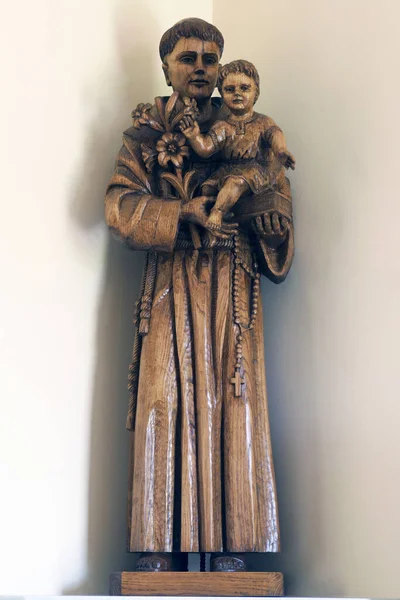 Saint Anthony of Padua, statue in the parish church of the Sacred Heart of Jesus in Karlovac, Croatia