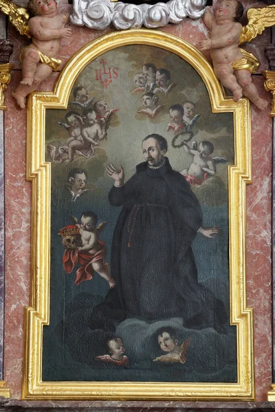 Altare San Francesco Borgia Nella Chiesa Parrocchiale Nostra Signora Della — Foto Stock