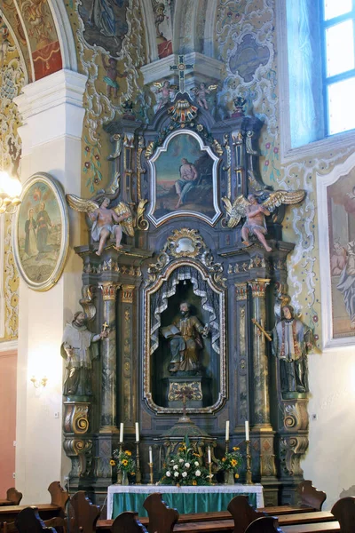 クロアチア クティナの雪の聖母教区教会の聖ピーターの祭壇 — ストック写真