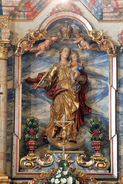 圣母玛利亚 圣婴耶稣 克罗地亚库蒂娜白雪公主教区教堂主祭坛上的雕像 — 图库照片