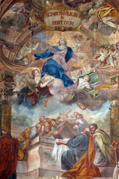 Antagelse Jomfru Maria Hovedalteret Fresko Jomfru Marias Himmelferd Samobor Kroatia – stockfoto