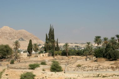 Batı 'dan antik Jericho şehri, Ürdün Vadisi, Batı Şeria, Filistin, İsrail