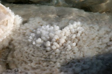Ölü Deniz kıyıları boyunca kristalize tuz kayaları, İsrail