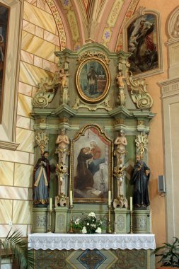 Altar of Saint Anthony of Padua in the Parish Church of Exaltation of the Holy Cross in Kriz, Croatia