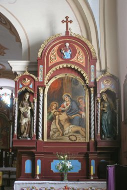 Hırvatistan 'ın Tomasica kentindeki Aziz Thomas Kilisesi' ndeki Hz. Meryem sunağı.