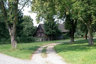 Ağaçların arasında ahşap bir çiftlik evi