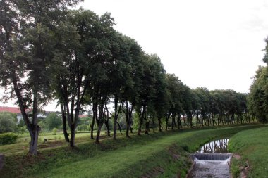 Hırvatistan 'ın Petrinja kentinde Petrinjcica Nehri