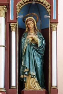Meryem 'in Günahsız Kalbi, Hırvatistan' ın Tomasica kentindeki Aziz Thomas kilisesinin ana sunağında heykel.