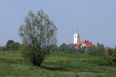 Hırvatistan 'ın Sveti Petar Orehovec kentindeki Aziz Peter Kilisesi