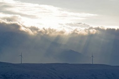 Hırvatistan 'ın Pag adasında elektrik üretimine yönelik rüzgar değirmenleri