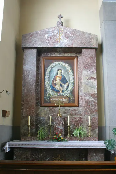 Kutsal İsa 'nın Kutsal Kalbi Kilisesi' nin Kutsal Rahibesi Meryem Ana, Hırvatistan 'ın Zagreb kentinde Salata