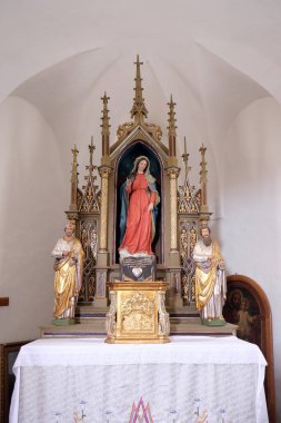 Hırvatistan 'ın Sveti Martin kapsülü Okicem' deki Aziz Martin Kilisesi 'nde Bakire Meryem sunağı