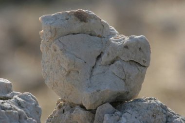 Hırvatistan 'ın Pag adasında alçıpan inşaatı