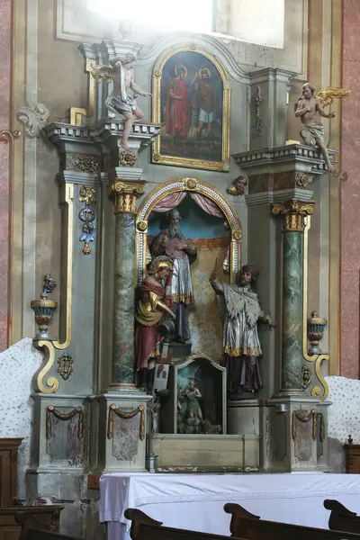 Hırvatistan 'ın Sveta Marija na Muri kentindeki Varsayım Kilisesi' nde Aziz Jerome sunağı