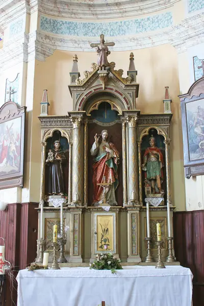 Hırvatistan 'ın Posavski Bregi kentindeki Aziz Maximilian Kilisesi' nde İsa 'nın Kutsal Kalbinin sunağı