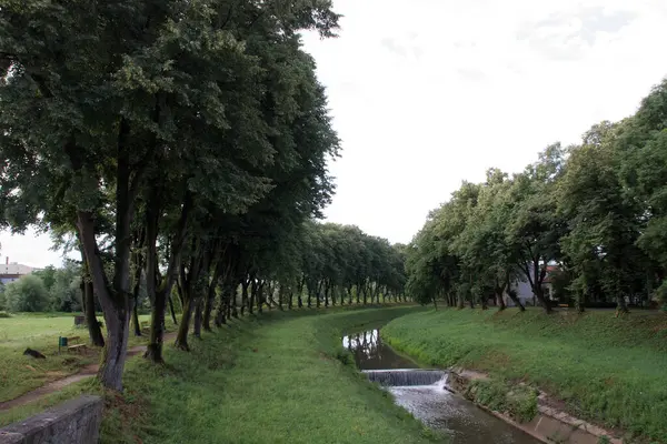 Hırvatistan 'ın Petrinja kentinde Petrinjcica Nehri