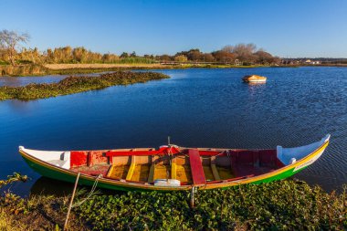 Renkli ahşap bir kayık berrak mavi gökyüzünün altındaki sakin bir gölün çimenli kıyısında duruyor.