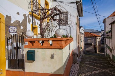 Dar bir kaldırım taşı caddesi renkli binalar arasında yokuş yukarı esiyor, çıplak bir ağaçla eşsiz bir mimari detay ve bir çatı terasında küresel süslemeler, parlak mavi bir gökyüzünün altında ince bulutlu.
