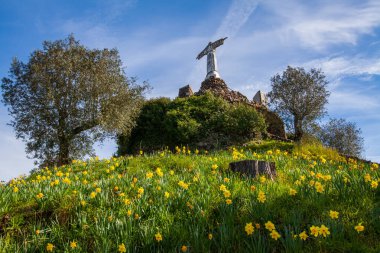 Taştan bir haçla taçlandırılmış ve yemyeşil yeşil renkli bir tepe, parlak mavi gökyüzünün altında, dağınık bulutlu, canlı sarı nergislerden oluşan bir tarlaya bakıyor..