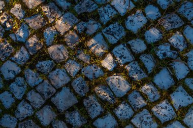 A textured cobblestone road surface, with tufts of grass growing between the stones, is illuminated by warm sunlight casting long shadows, creating a rustic and slightly weathered scene clipart