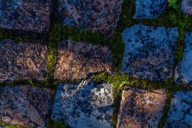 A close-up shot of weathered stone pavement tiles, with vibrant green moss growing thickly in the gaps, creating a textural contrast and a sense of age and natural integration clipart