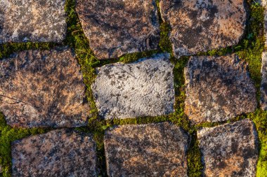 Yıpranmış taş kiremitlerin yakın plan çekimi, boşluklarda yoğun yeşil yosun oluşması, doku kontrastı, yaş ve doğal bütünleşme hissi yaratıyor.