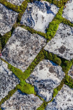 A textured cobblestone road surface, with tufts of grass growing between the stones, is illuminated by warm sunlight casting long shadows, creating a rustic and slightly weathered scene clipart