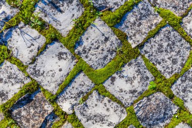 A textured cobblestone road surface, with tufts of grass growing between the stones, is illuminated by warm sunlight casting long shadows, creating a rustic and slightly weathered scene clipart