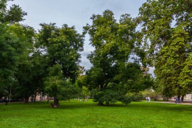 Büyük ağaçlarla dolu yemyeşil bir park bulutlu bir gökyüzü altında dinlenmek ve dinlenmek için sakin bir şehir alanı sağlar..