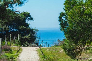 Ağaçlarla kaplı huzurlu bir kıyı yolu uzaktaki derin mavi okyanusa doğru gidiyor. Yol kumlu, yeşillik ve sol tarafında ahşap bir çitle çevrili, sağ tarafı ise gür çam ağaçlarıyla çevrili. Parlak mavi gökyüzü tamamlanır