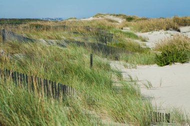 Sakin bir sahil manzarası. Yumuşak kum tepeleri vahşi otlarla kaplı..