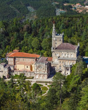 Büyük yıpranmış bir taş, oyulmuş girintiler ve yarıktan çıkan küçük yeşil bir bitki.