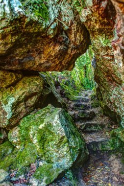 bir kin ormanındaki kayaların arasından bir yol