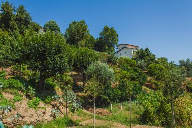 bir ortaçağ manastır kalıntıları