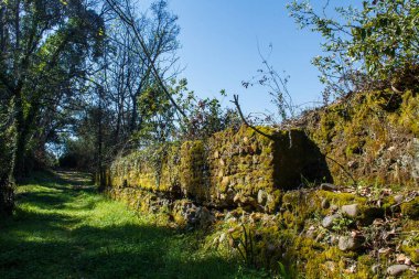 eski taş duvar boyunca yol