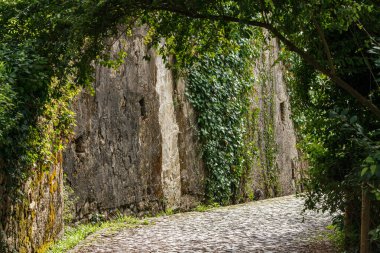 parkta ağaçların kemer