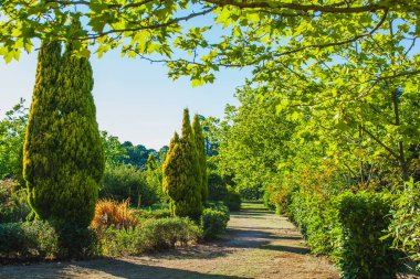 akşam parkta bir yol