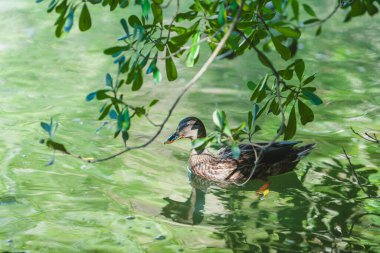 Lizbon 'da günbatımında bir su kemeri istasyonunda.