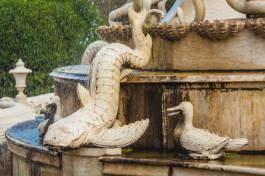 fish and duck on the fountain in the park n Lisbon clipart