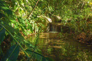 Jungels 'da küçük bir baharda gün batımı 
