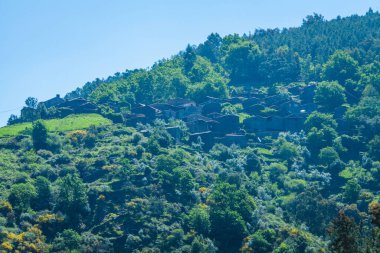 Portekiz 'deki eski bir kaldırım taşı köyünde güzel bir manzara.
