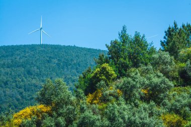 Dağ sırtında rüzgar santralleriyle güzel bir manzara. 